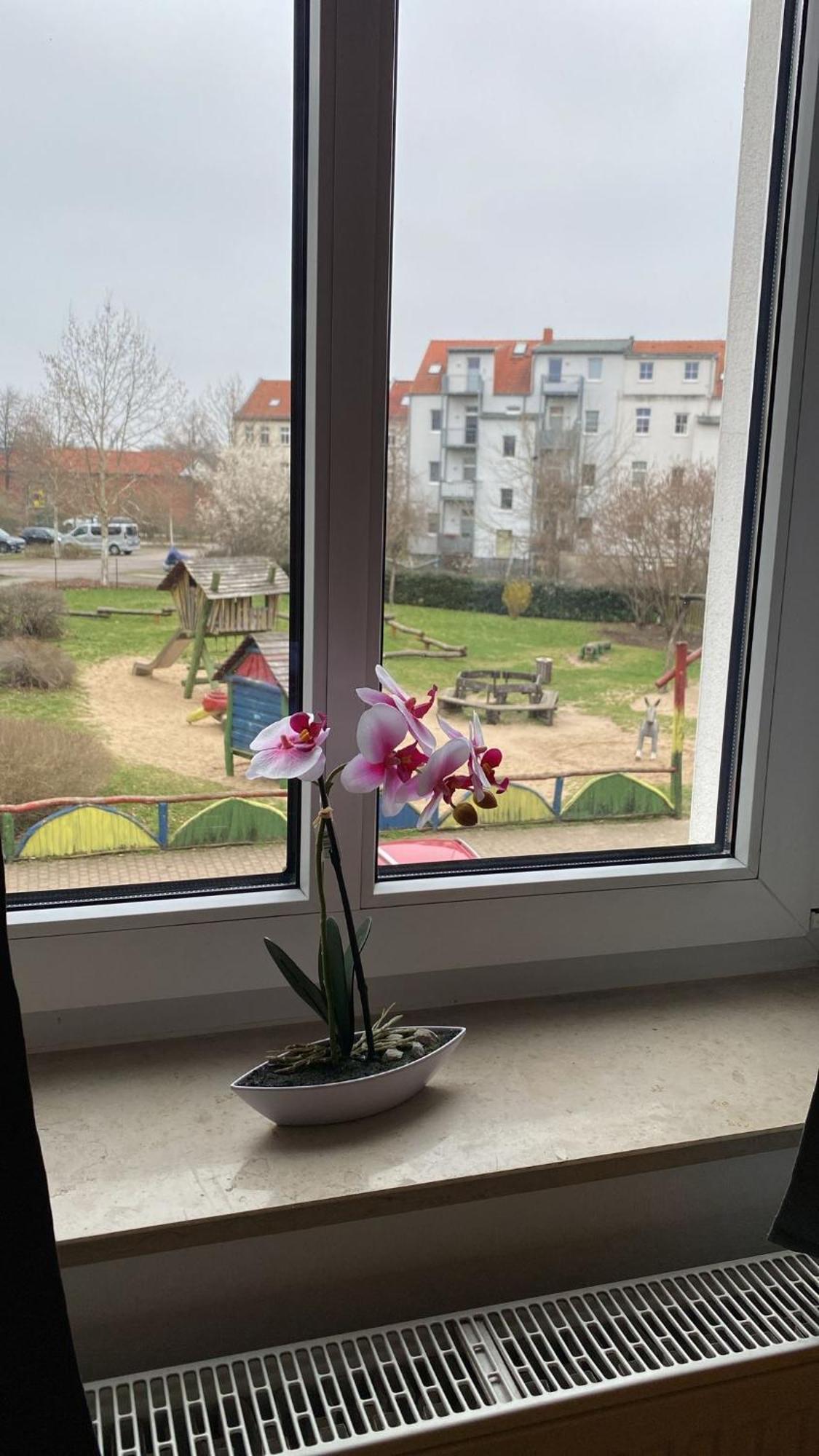 Fewo "Franzi" 5 Personen, Zentrale Lage, Parkplatz Dessau-Rosslau 외부 사진